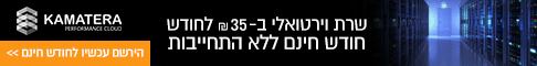 שרת וירטואלי לעסקים