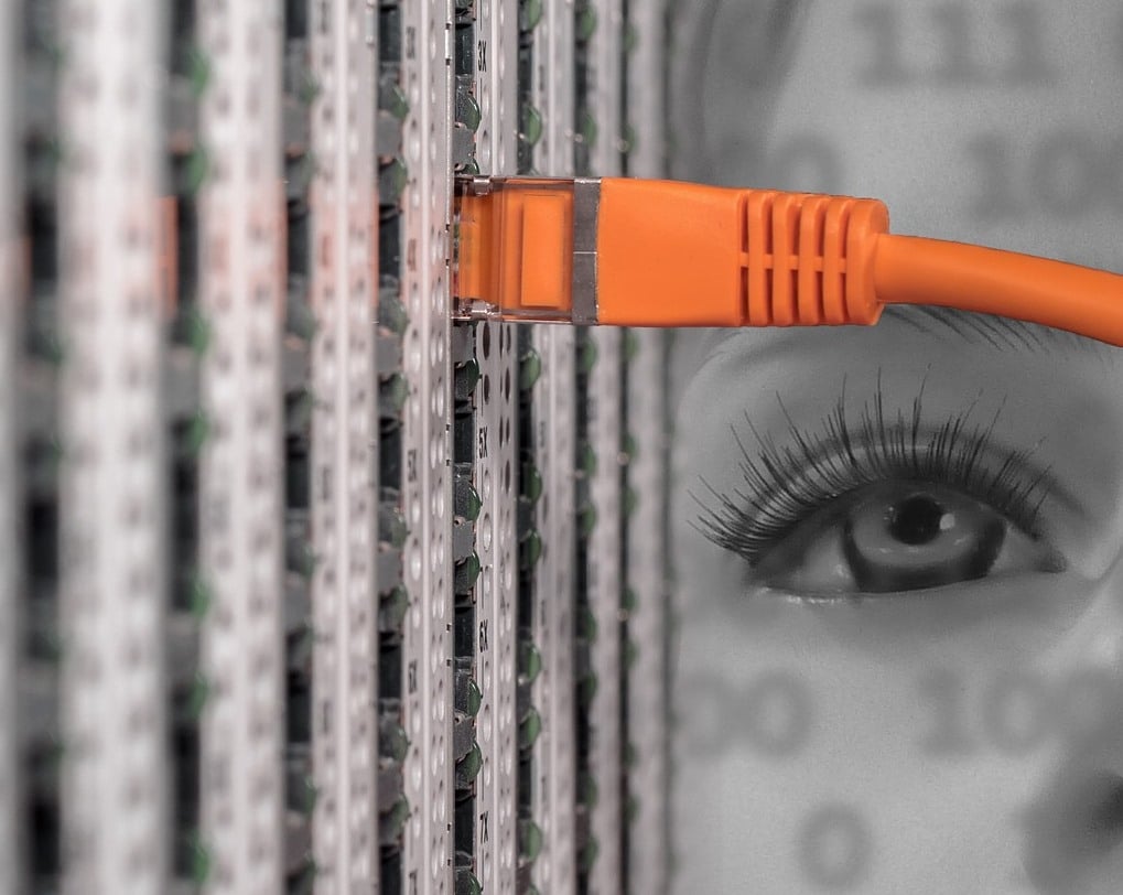 כבלי רשת תקשורת לעסקים Cables