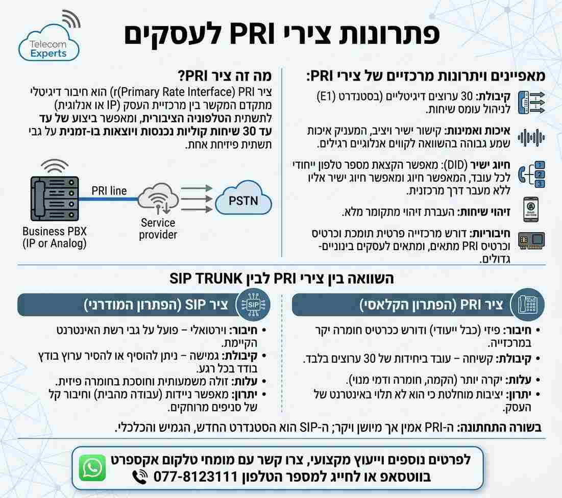 אינפוגרפיקה המתארת פתרונות צירי PRI לעסקים