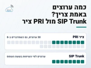 SIP Trunk מול ציר PRI: ציר PRI מגיע ב-30 ערוצים גם כשמדברים ב-8, וב-SIP Trunk מספר הערוצים נקבע לפי השיחות בשעת העומס